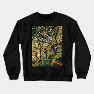 Ancient Forest Crewneck Sweatshirt